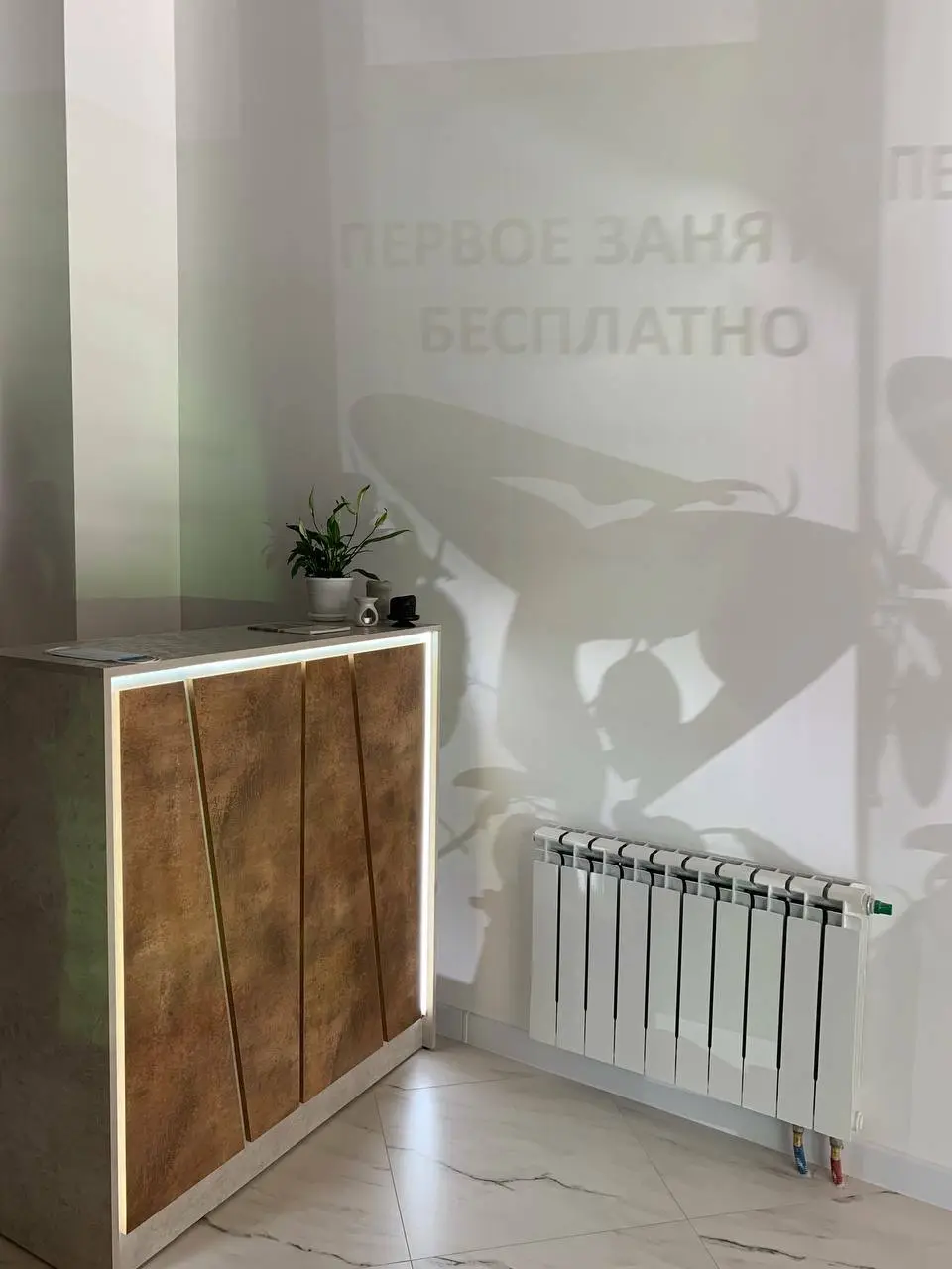 Интерьер зала студии «Мята Олимпийский»